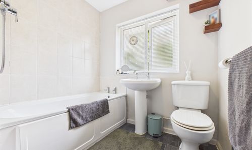 Room Photo
