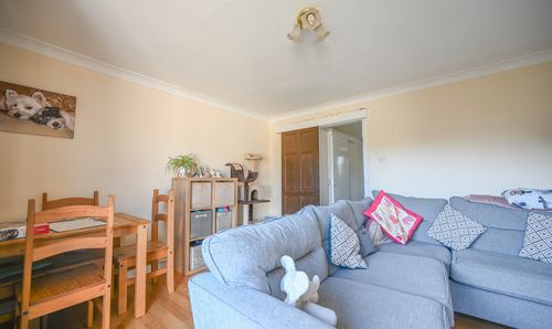 Room Photo