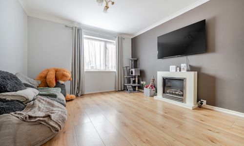 Room Photo