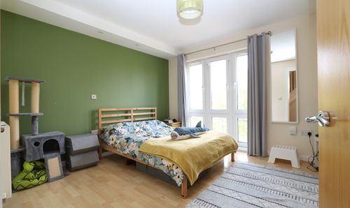 Room Photo