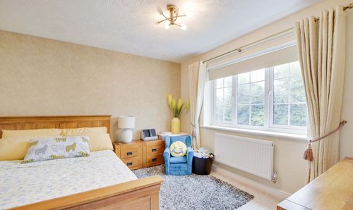 Room Photo