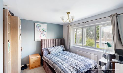 Room Photo