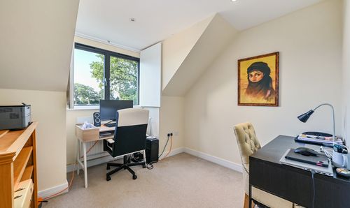 Room Photo