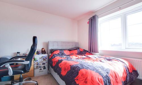 Room Photo