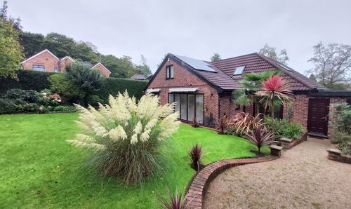 Room Photo