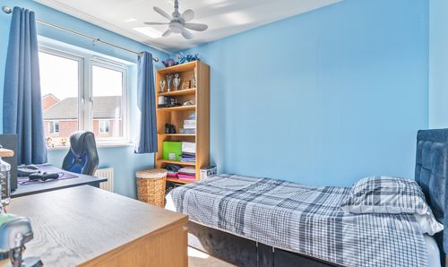Room Photo