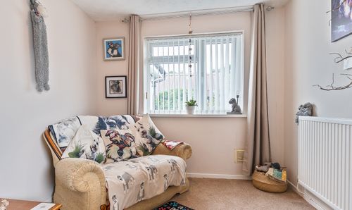 Room Photo