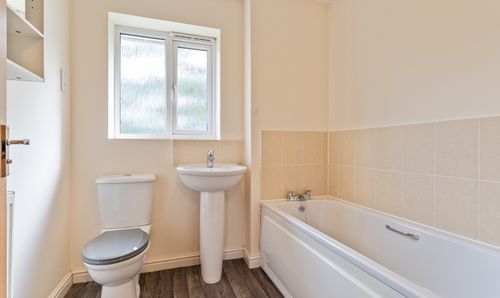 Room Photo