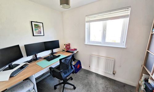 Room Photo