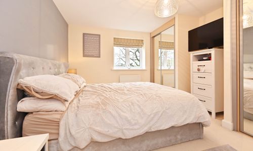 Room Photo