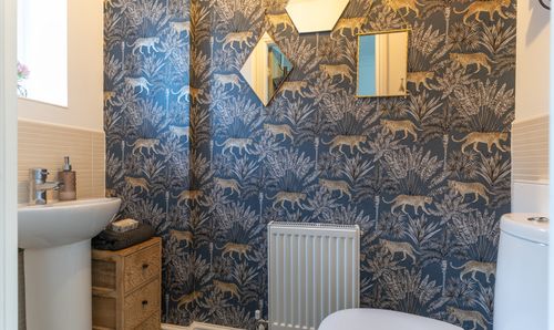Room Photo
