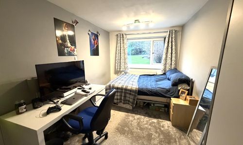 Room Photo