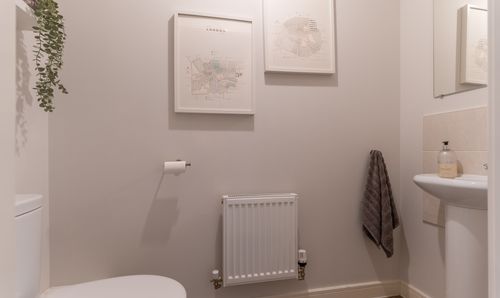 Room Photo