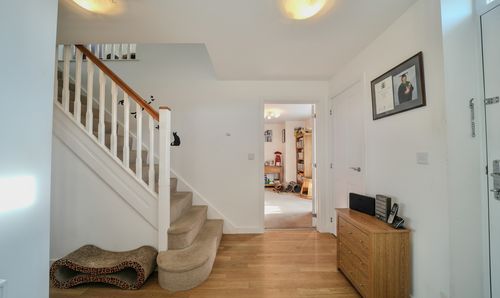 Room Photo