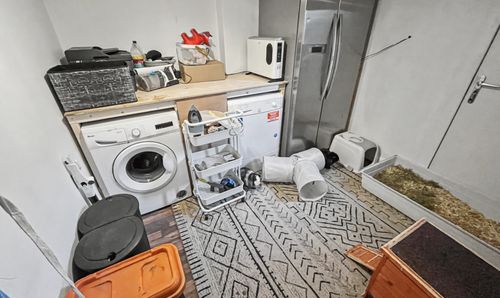 Room Photo