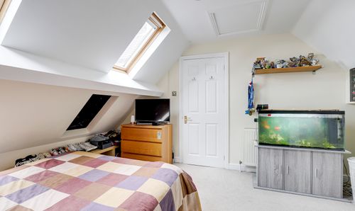 Room Photo