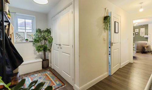 Room Photo