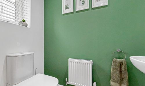 Room Photo
