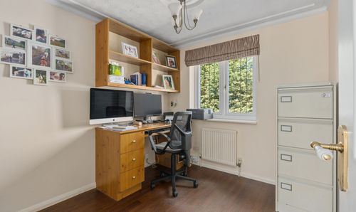 Room Photo
