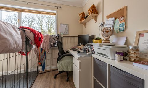 Room Photo