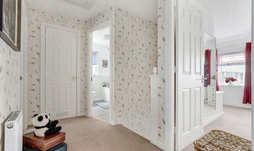 Room Photo