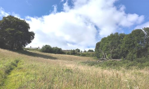 View Of Land