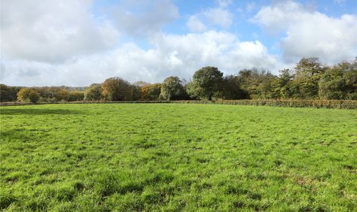 Land