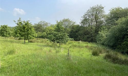 Picture No. 18