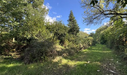 Garden Area