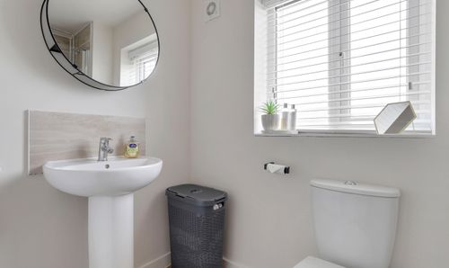 Room Photo