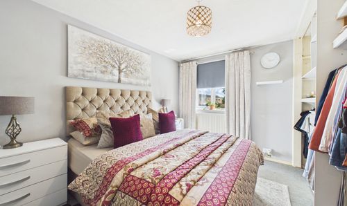 Room Photo