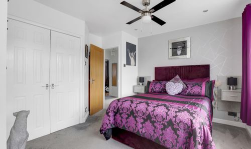 Room Photo