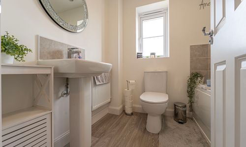 Room Photo