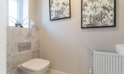 Room Photo