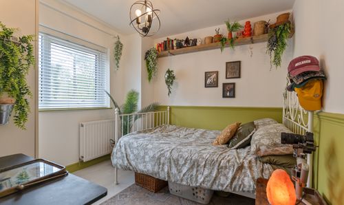 Room Photo