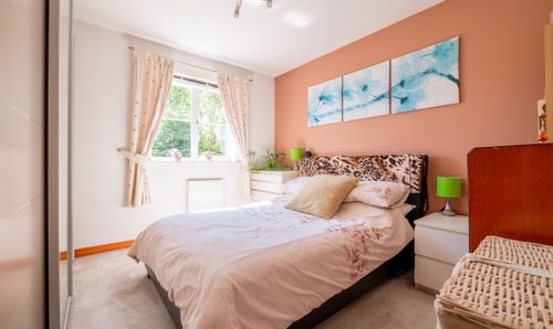 Room Photo