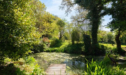 Pond