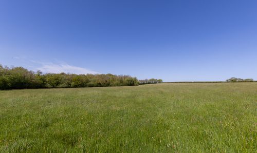 Land at Wolladon