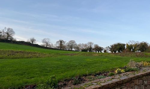 Le Menage L'Etable La Route Des Cotes Du Nord, Trinity