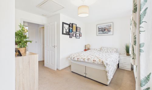 Room Photo