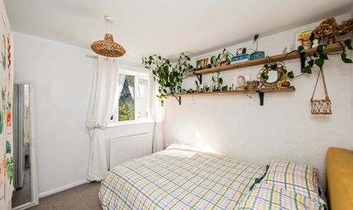 Room Photo