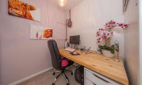 Room Photo