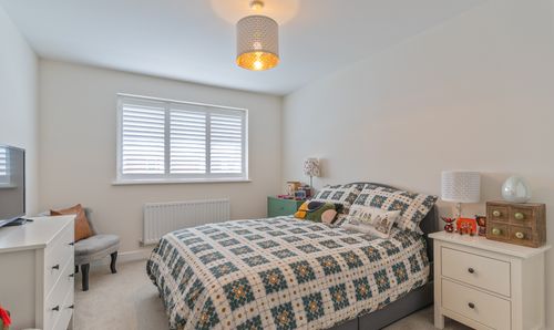 Room Photo