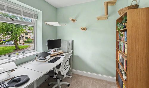 Room Photo