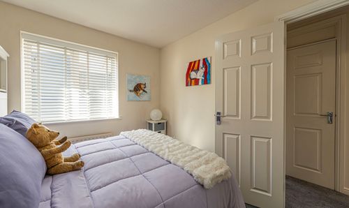 Room Photo