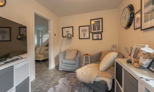 Room Photo