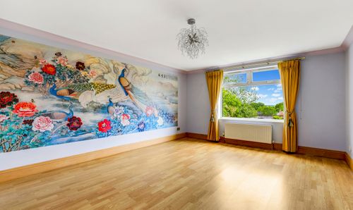 Room Photo