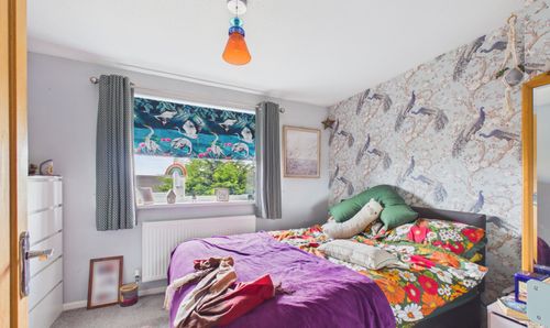 Room Photo