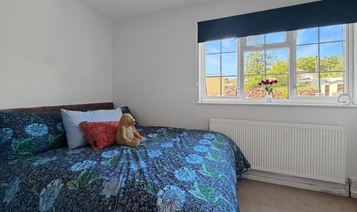 Room Photo