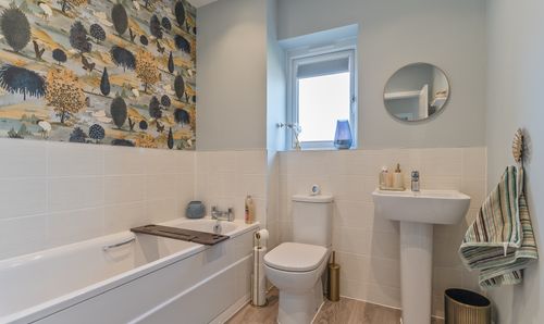 Room Photo